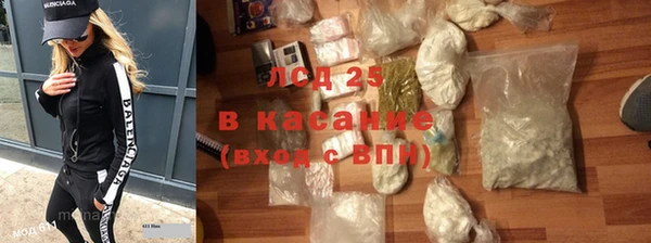 прущие грибы Арсеньев