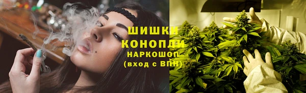 бошки Аркадак