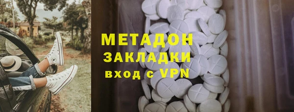 прущие грибы Арсеньев