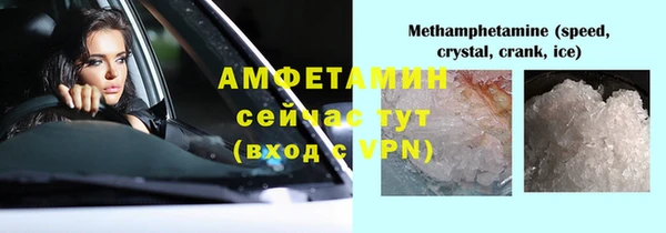 прущие грибы Арсеньев