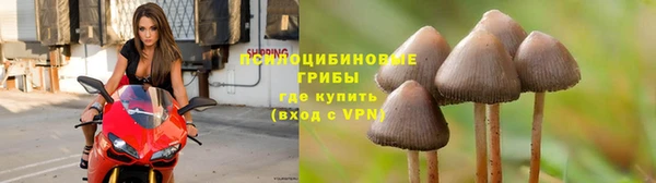 мяу мяу мука Ростов