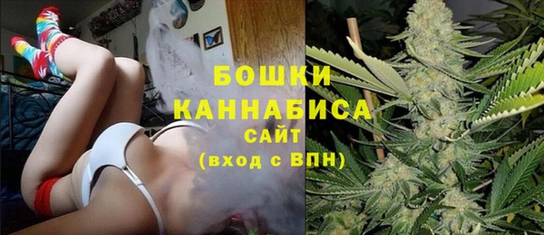 прущие грибы Арсеньев