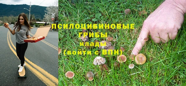 прущие грибы Арсеньев