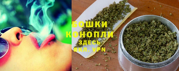 бошки Аркадак