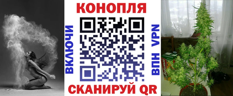хочу   Верхнеуральск  Канабис сатива 